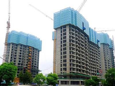 金屬爬架網圖片3