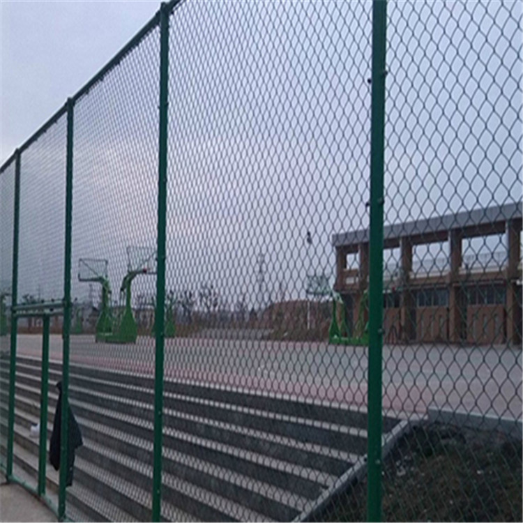 4米高籃球場圍網 圖片3